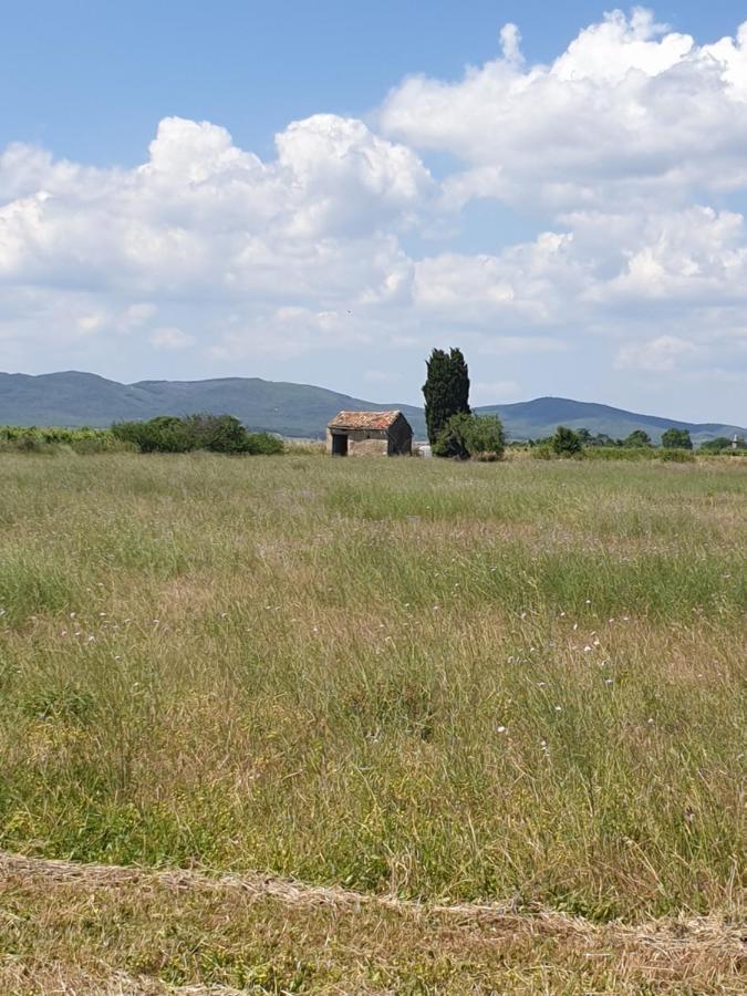 La Grange Du Cade Villa Magalas Luaran gambar